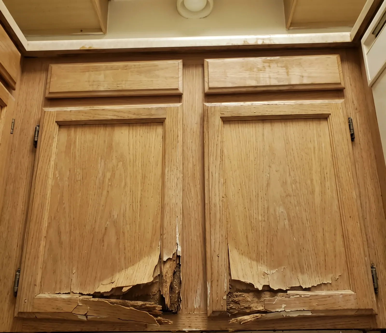 Hotels & Hospitality water damage restoration in Austin, TX