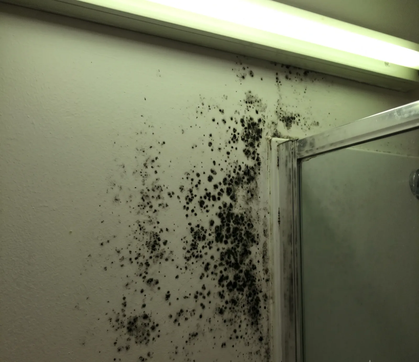 Burst Supply Line water damage in Austin, TX